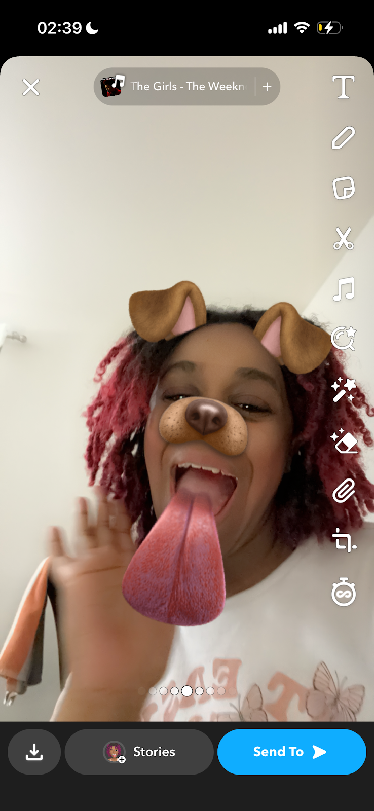 Screenshot of the author Kira with the Snapchat dog filter