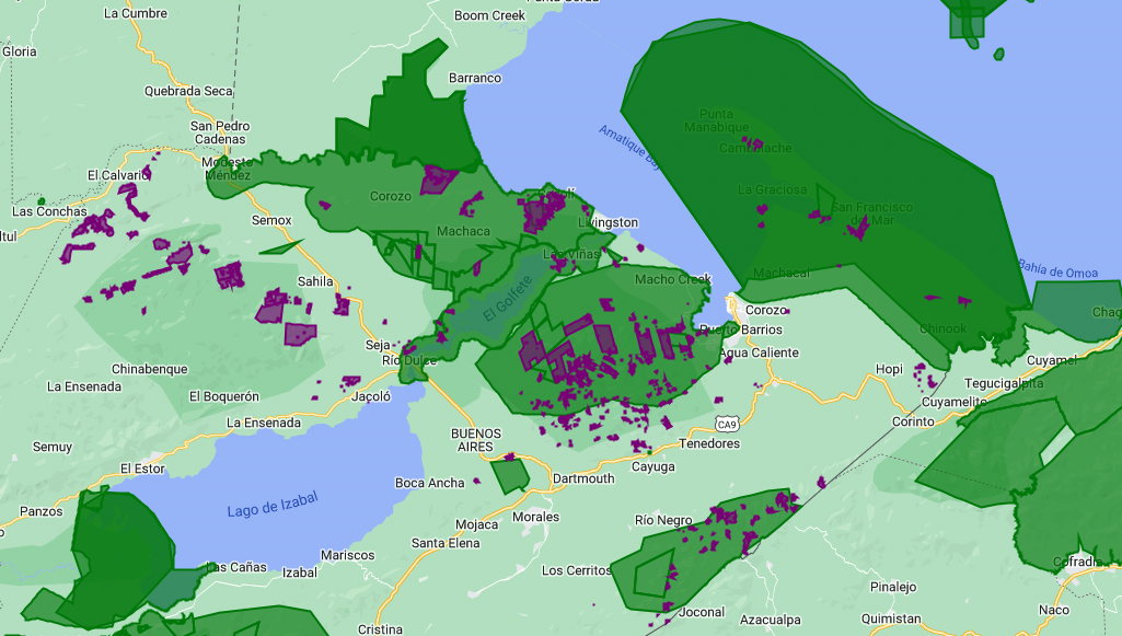 Do carbon market projects take place in protected areas?