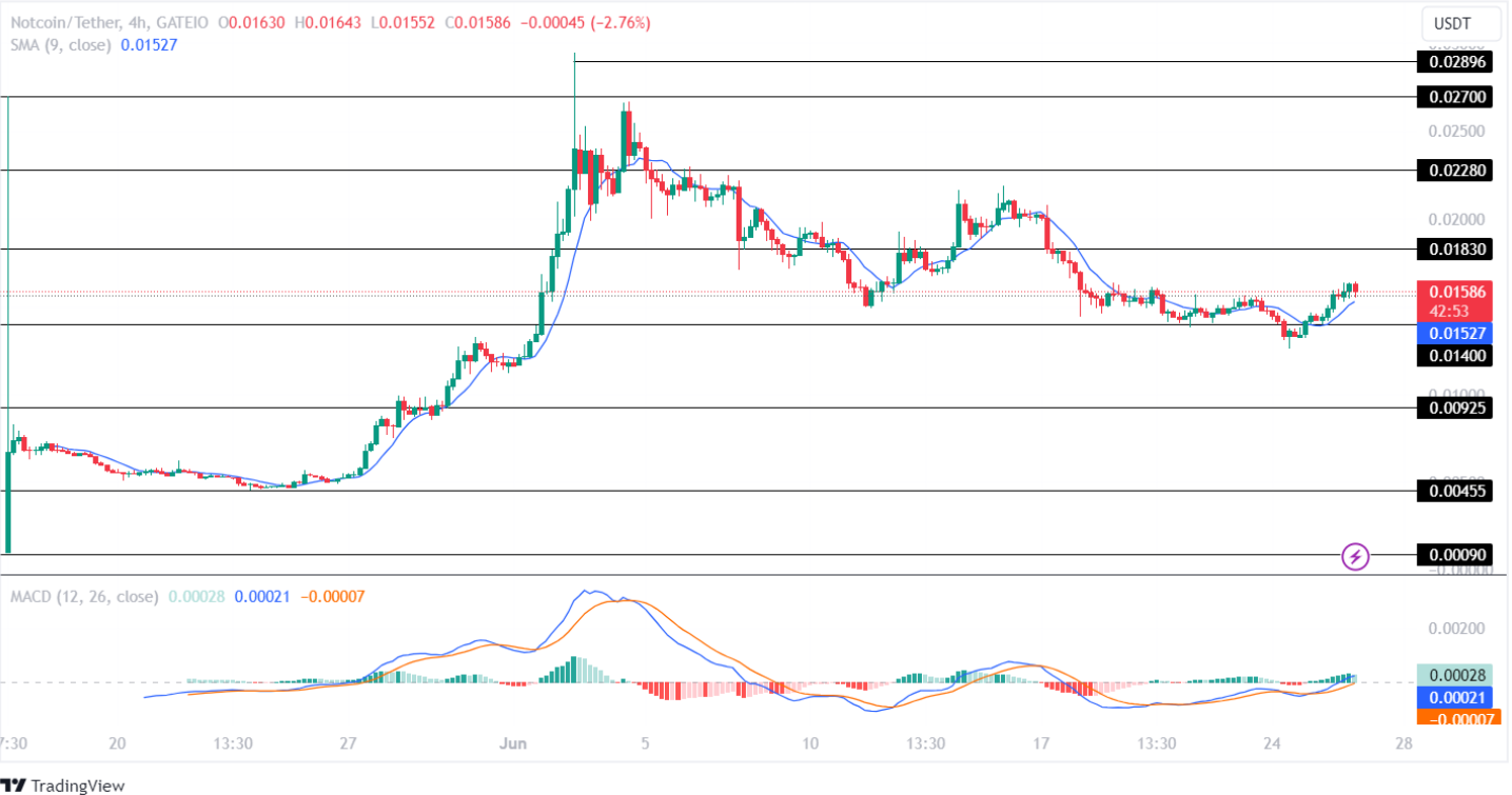 Notcoin Price Prediction2024