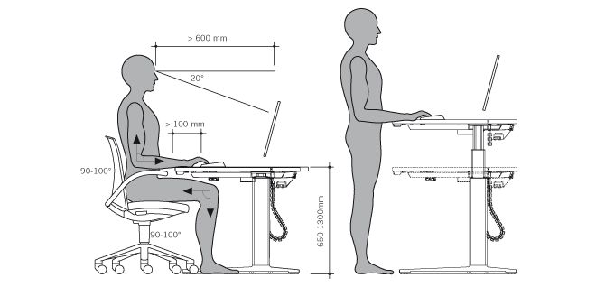 The Impact of Workplace Ergonomics on Office Productivity - image 1