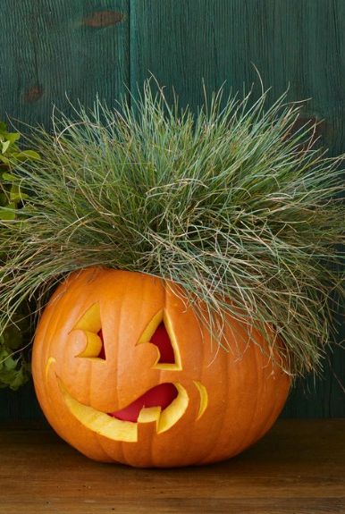 pumpkin carving ideas, carved out pumpkin with plant at the top of the head