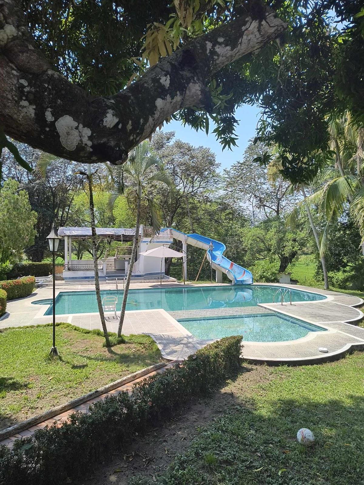 A swimming pool with a slide

Description automatically generated