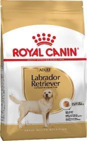 D:\RC\Launches&product info\Dogs\SPT assortment\BHN 2019\BHN_LABRADOR RETRIEVER_ADULT\AD_LABRADOR_PACKSHOT_BHN18-54pc.jpg