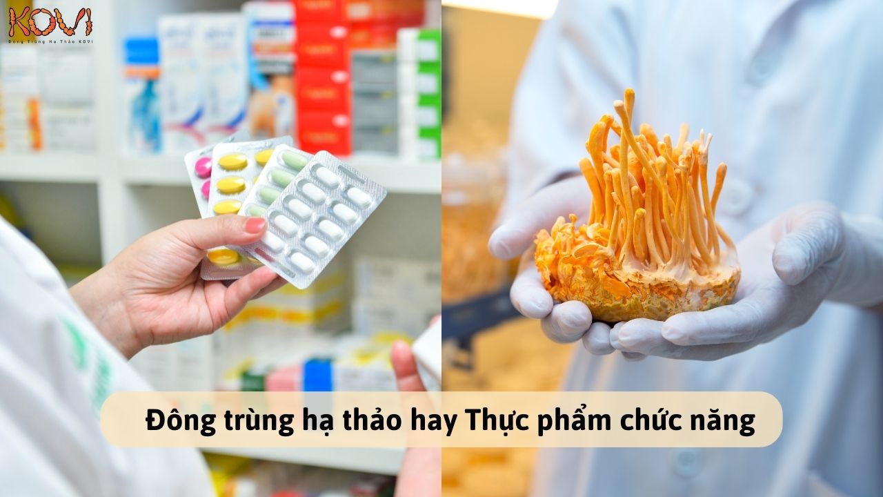 Đông trùng hạ thảo