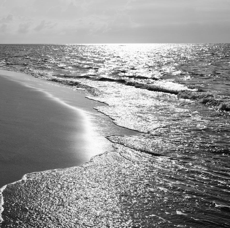 A black and white photo of a beach

Description automatically generated