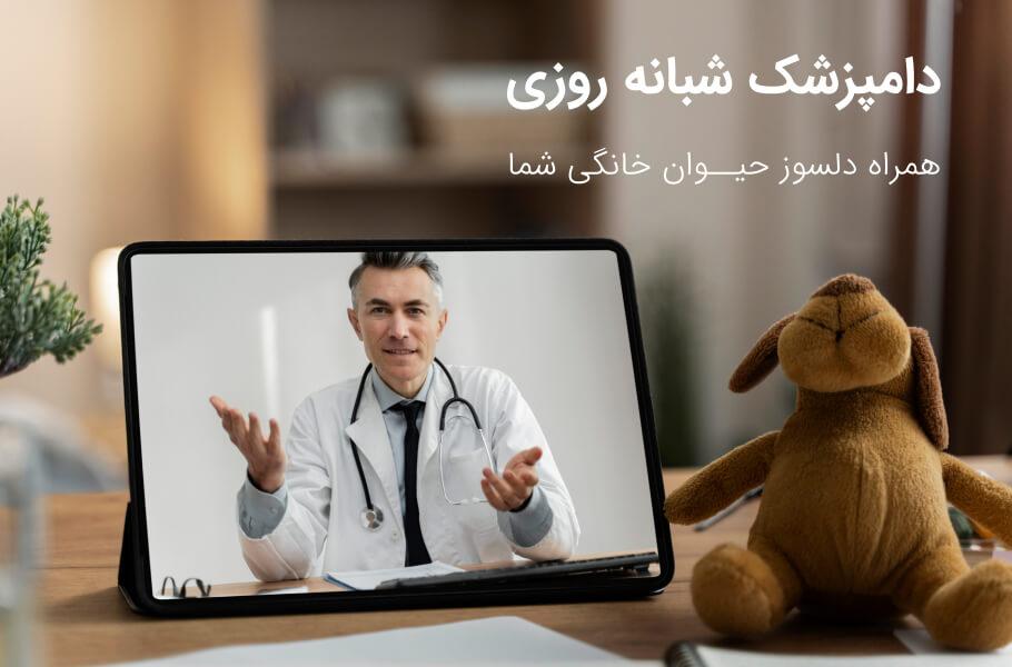دامپزشک آنلاین شبانه روزی از طریق تماس تلفنی و متنی