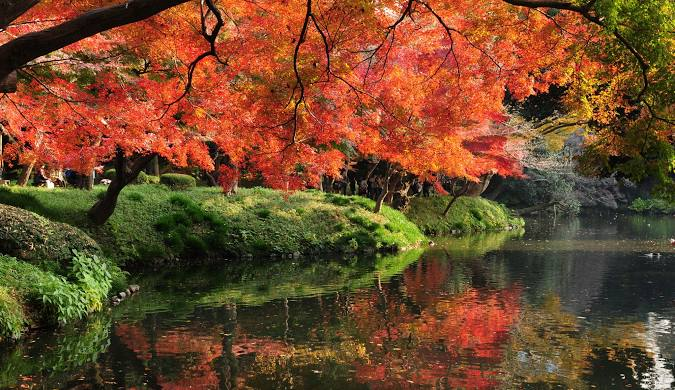 Lake view in Koishikawa Korakuen Garden Japan