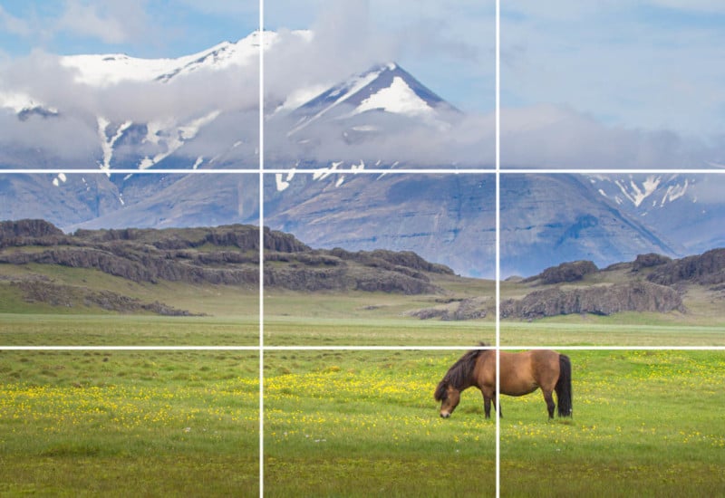 A horse eating grass rule of third image
