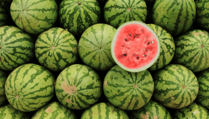 watermelon properties