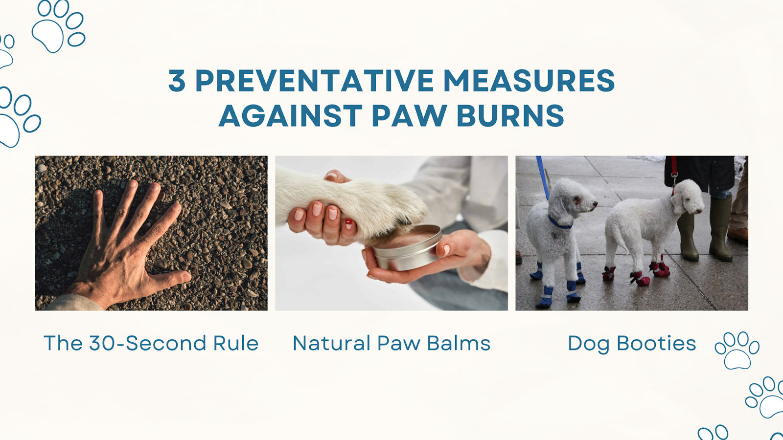 preventative measures against paw burns