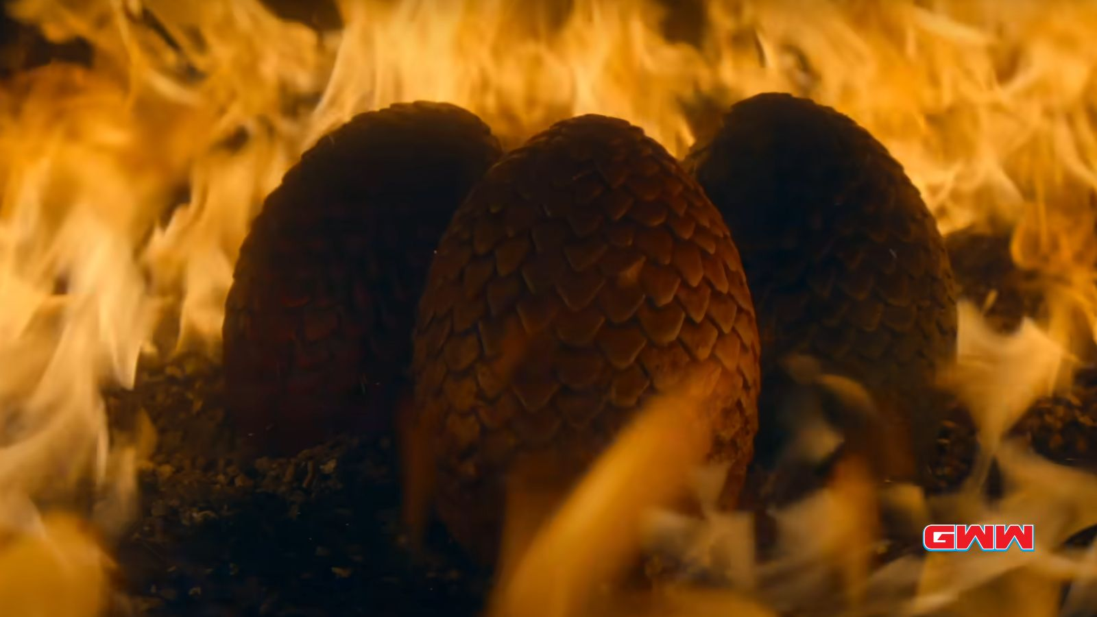 Three dragon eggs surrounded by fire, House of the Dragon Season 2 release date