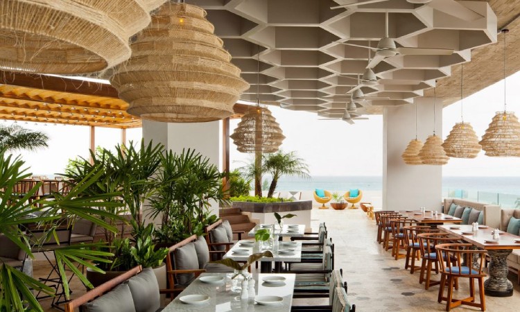 Best Restaurants in Playa Del Carmen