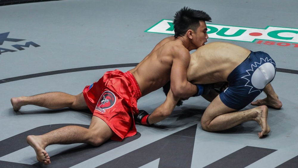 Mixed Martial Arts Moves For Beginner - The Sprawl