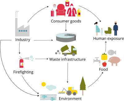 Persistent Organic Pollutants