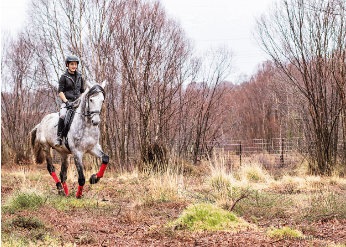 Benefits of Riding a Gaited Horse