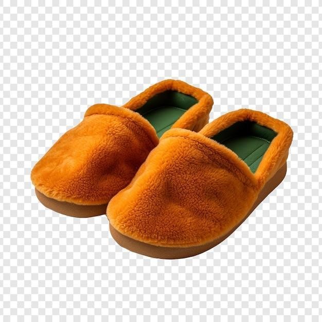 Slippers isolated on transparent background