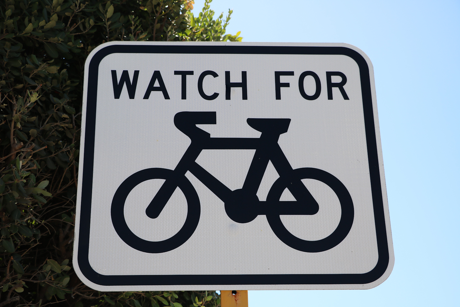 watch for bicyclists sign close up on a sunny day