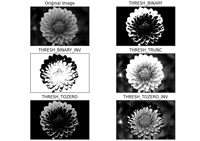 A collage of different images of a flower

Description automatically generated