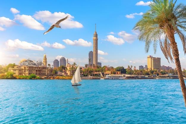8. Vizitează Muzeul Egiptean din Cairo