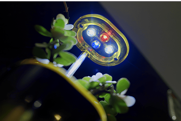 The under side of the LED growth lights seen shining on a succulent plant with flat broad leaves