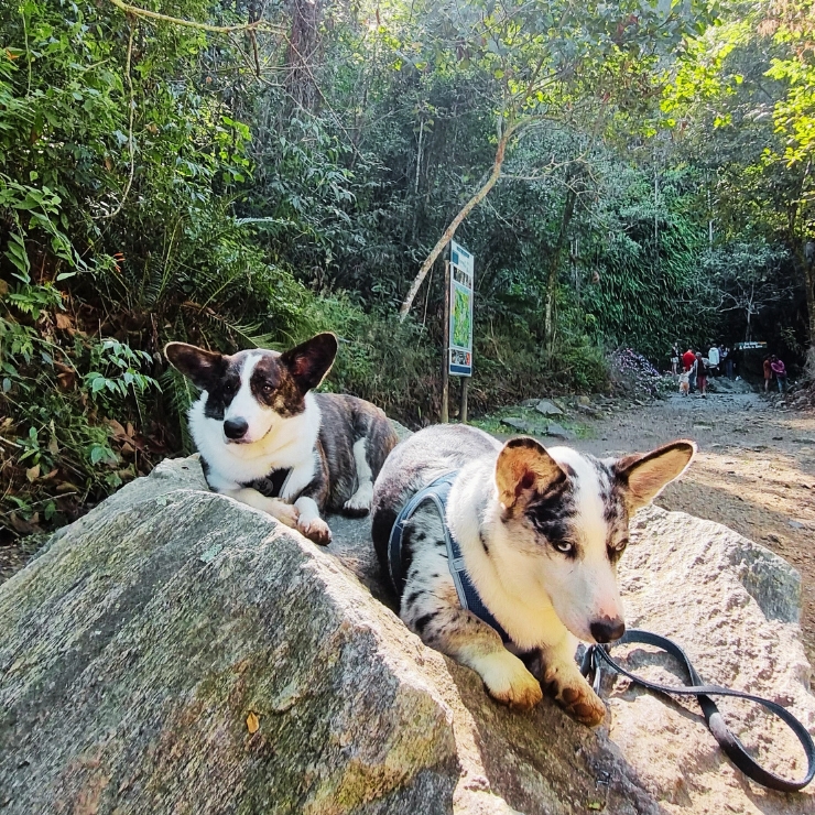 Foto de Divulgação: Pousada Gruta do Anjo