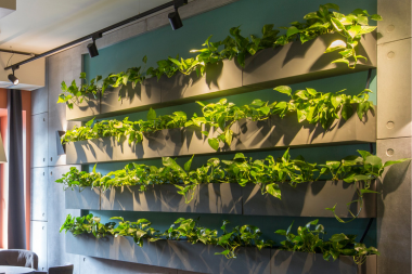 sound insulation tips for a peaceful home environment living wall with greenery and foliage custom built michigan