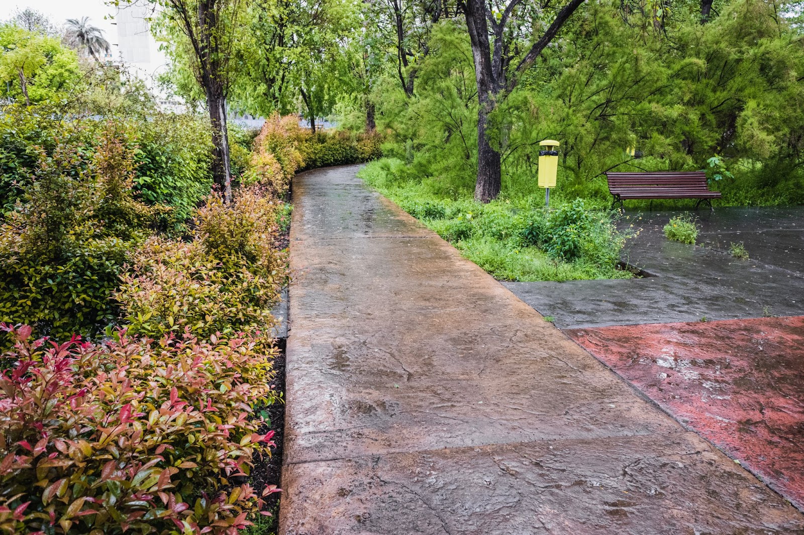 A glossy, wet sidewalk winds through a flower-filled urban park, glistening after a solitary rainy day.
