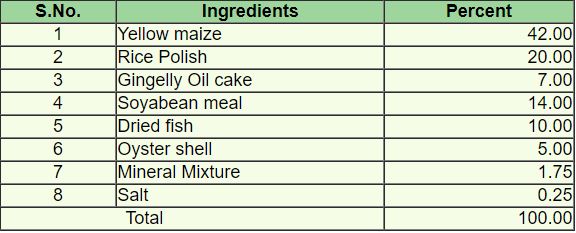 Feed Ratio for Egg Layer Ducks