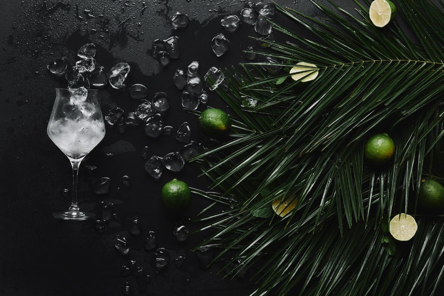 A glass with ice and limes on a black surface
Description automatically generated