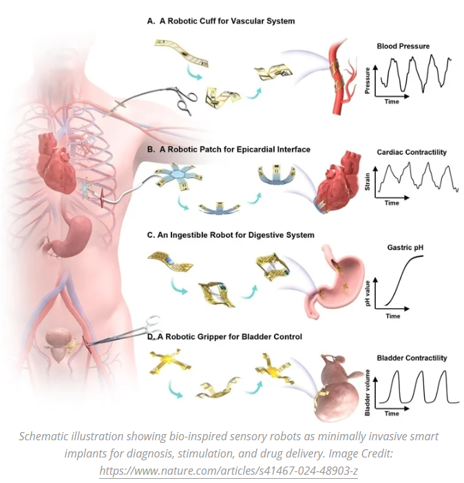 A diagram of a human body

Description automatically generated