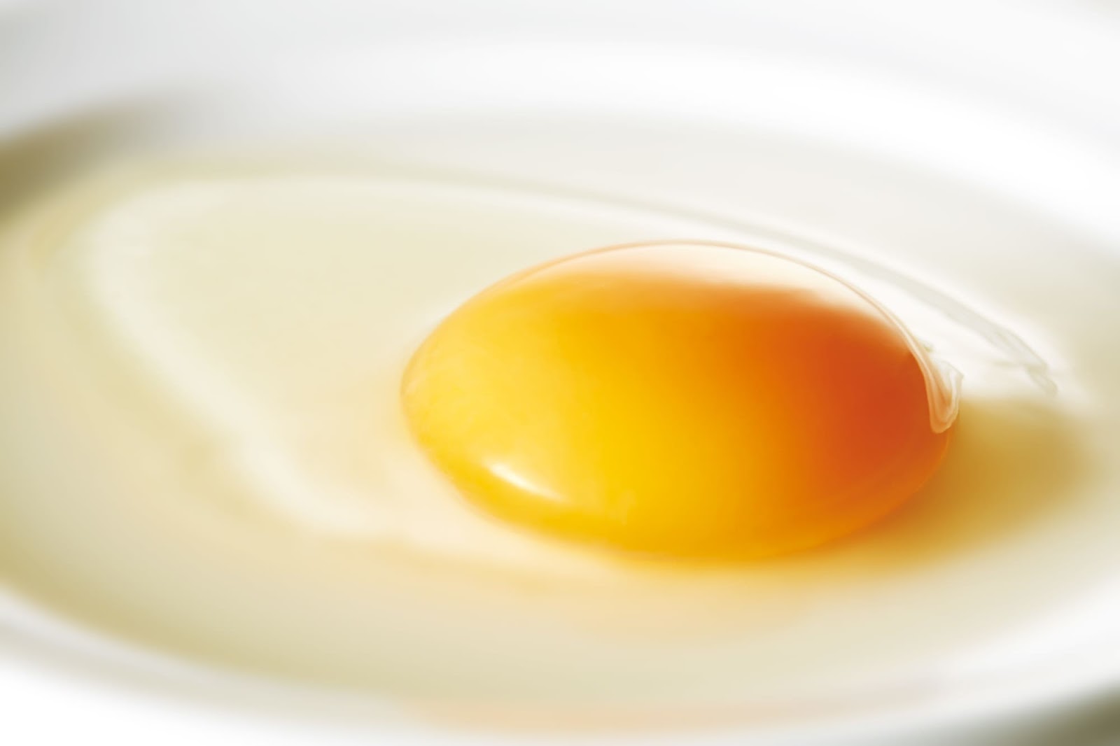 卵のタンパク質は白身と黄身どっちが多いの？