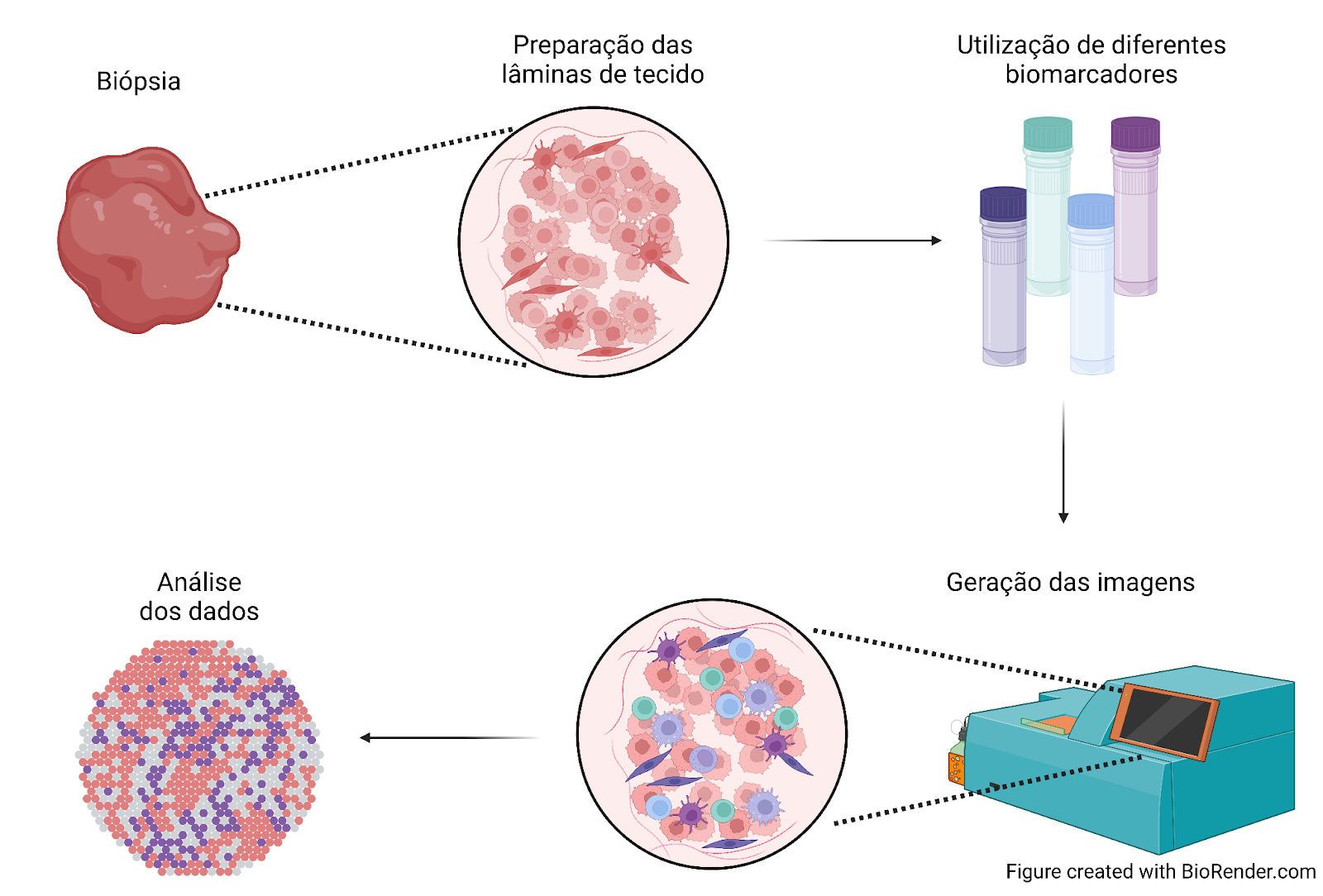 Processo investigação por biologia espacial