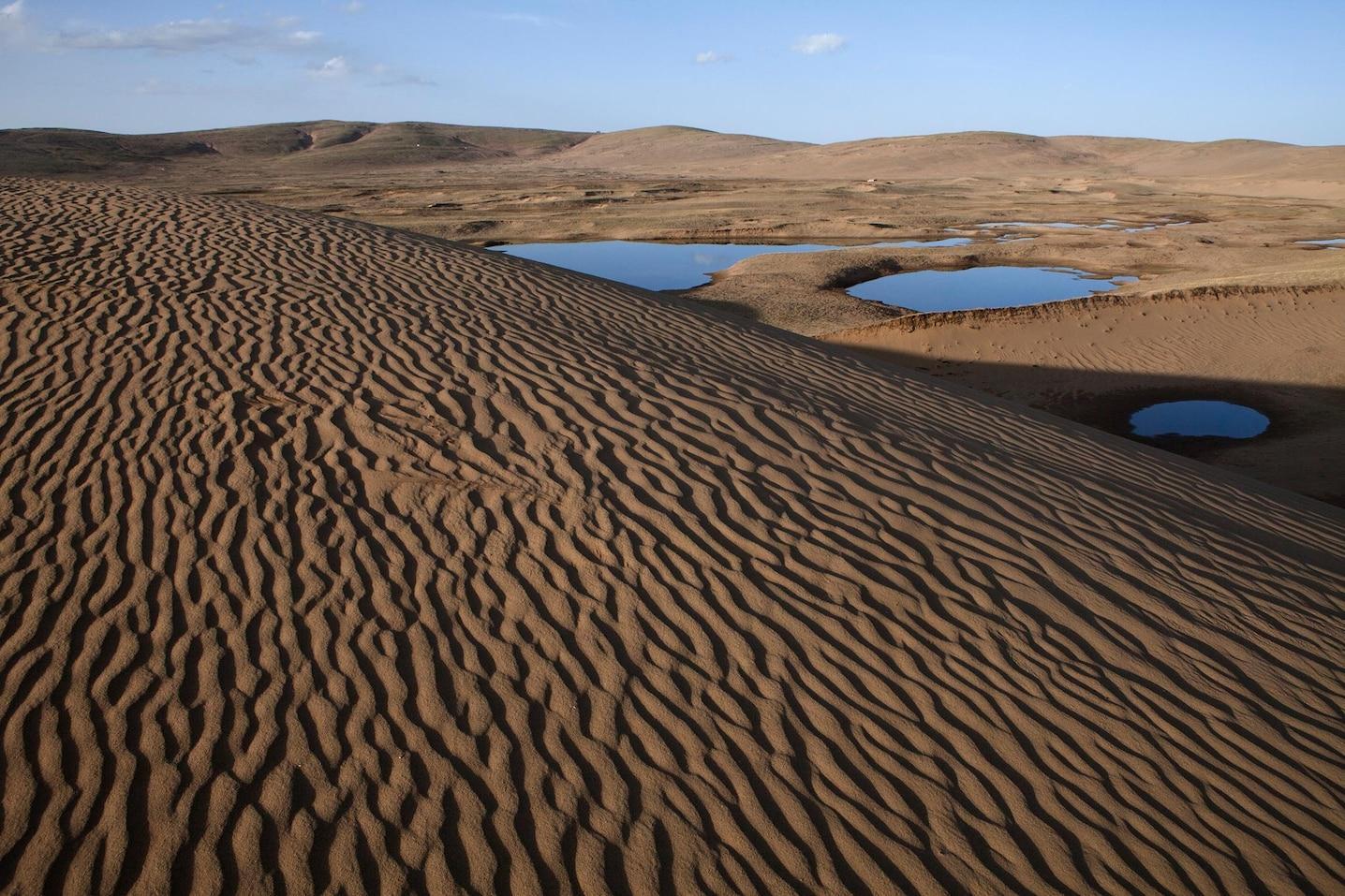 Desertification facts and information