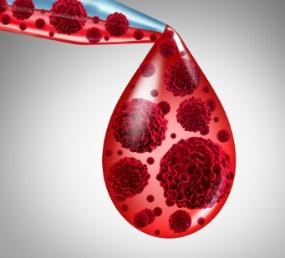 A blood drop with red cells inside

Description automatically generated