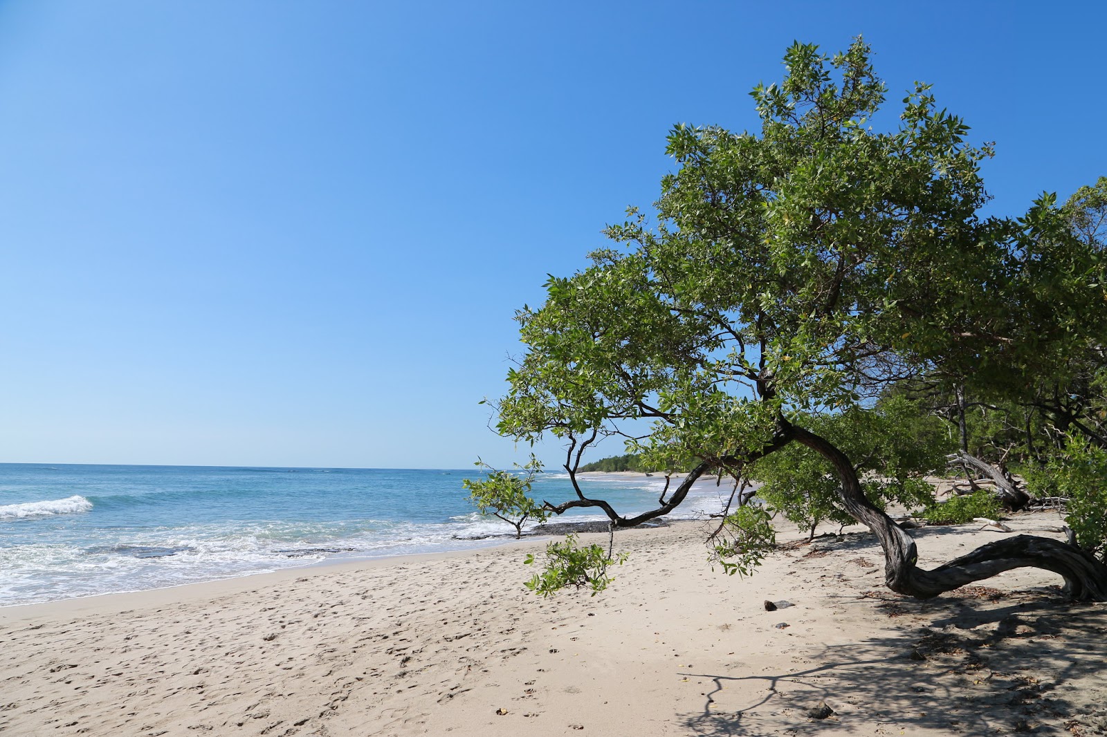 gushing waves and clear beaches in one of the best beaches in Costa Rica