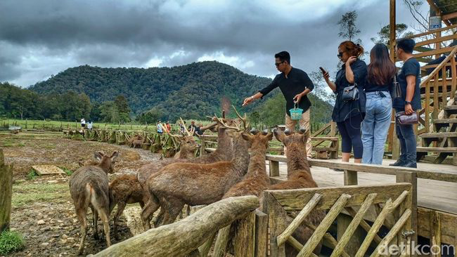 5 Rekomendasi Tempat Wisata Alam Di Bandung yang Terjangkau dan Cocok Buat Healing - Ranca Upas