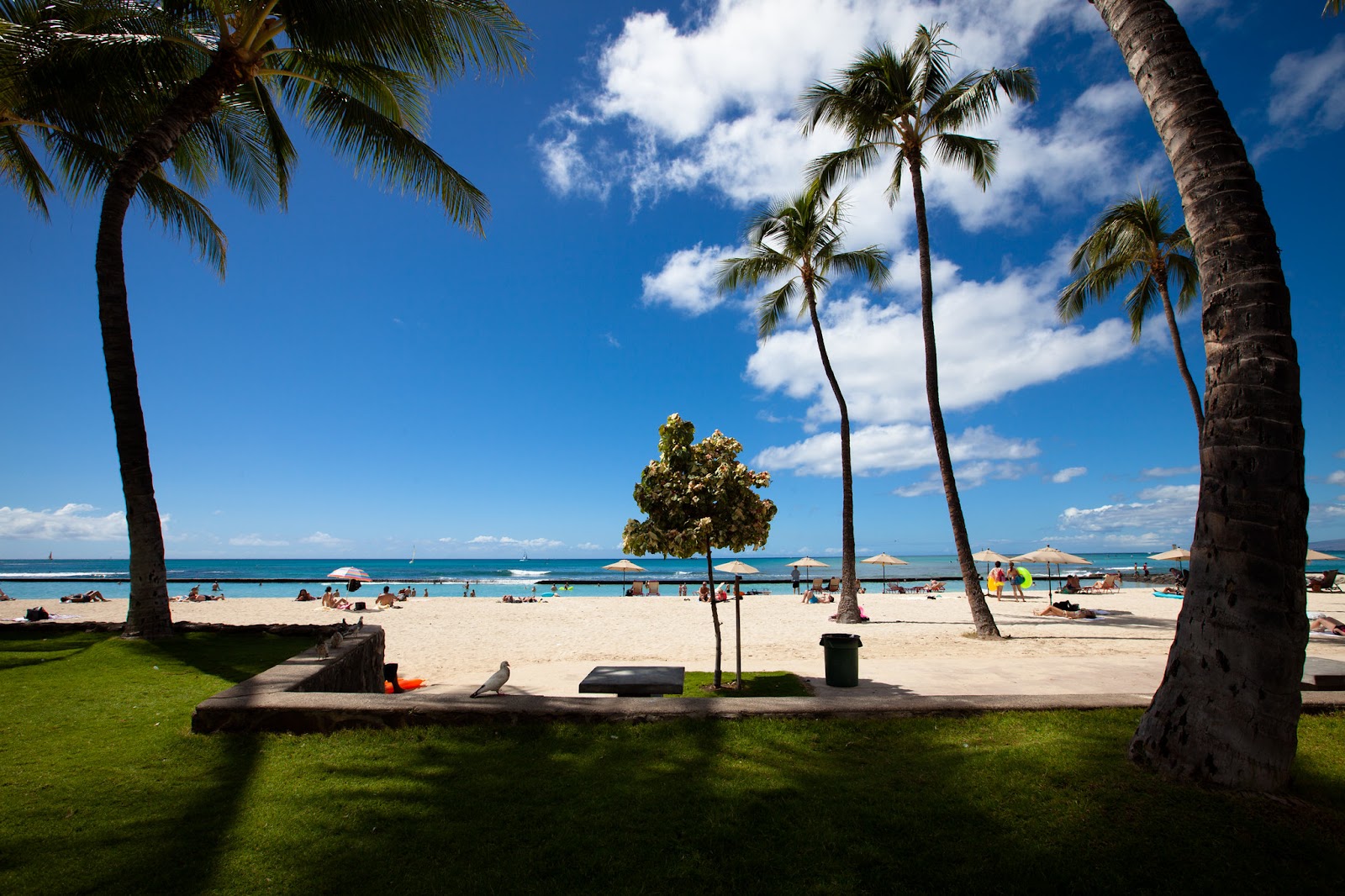 Summer Island _ Kuhio Beach Park, Honolulu, Hawaii, 