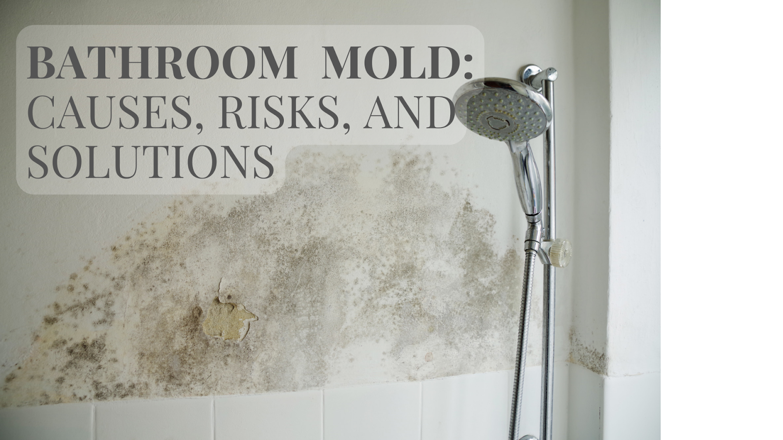 bathroom mold