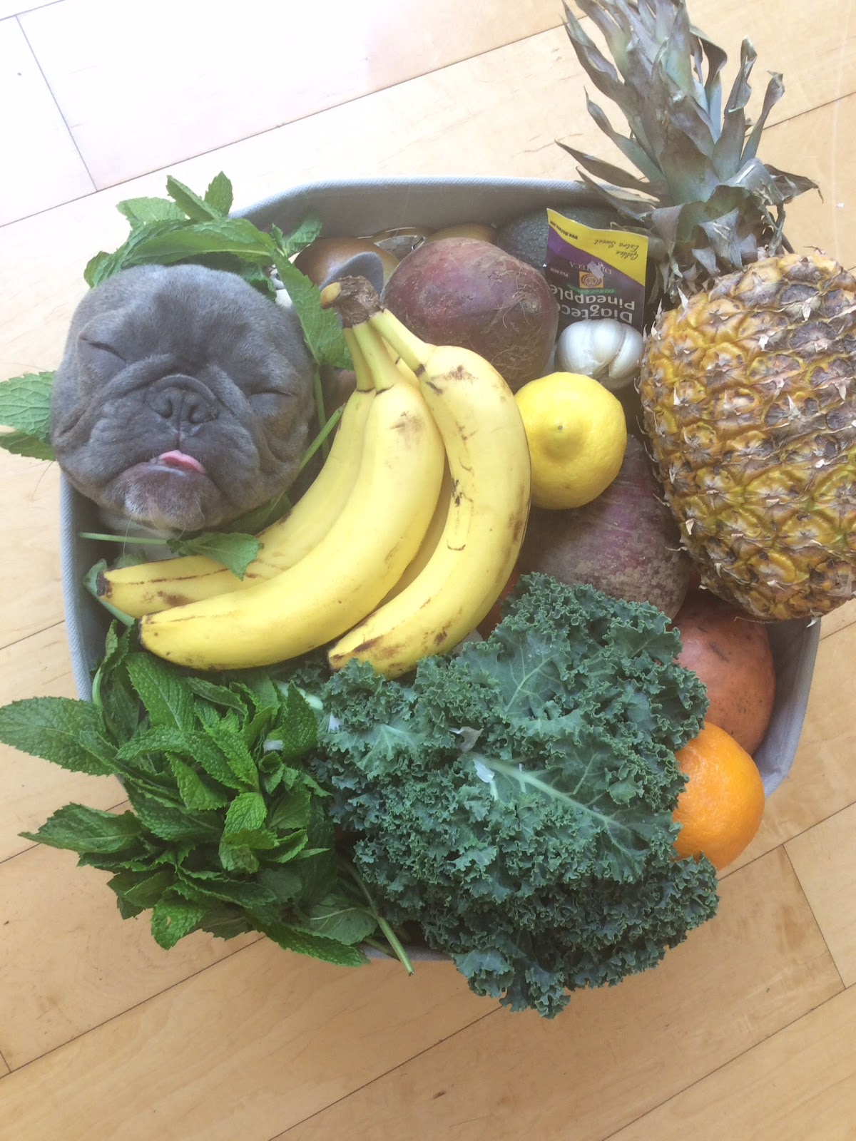 Can Frenchies Eat Strawberries? Vital Nutritional Tips!