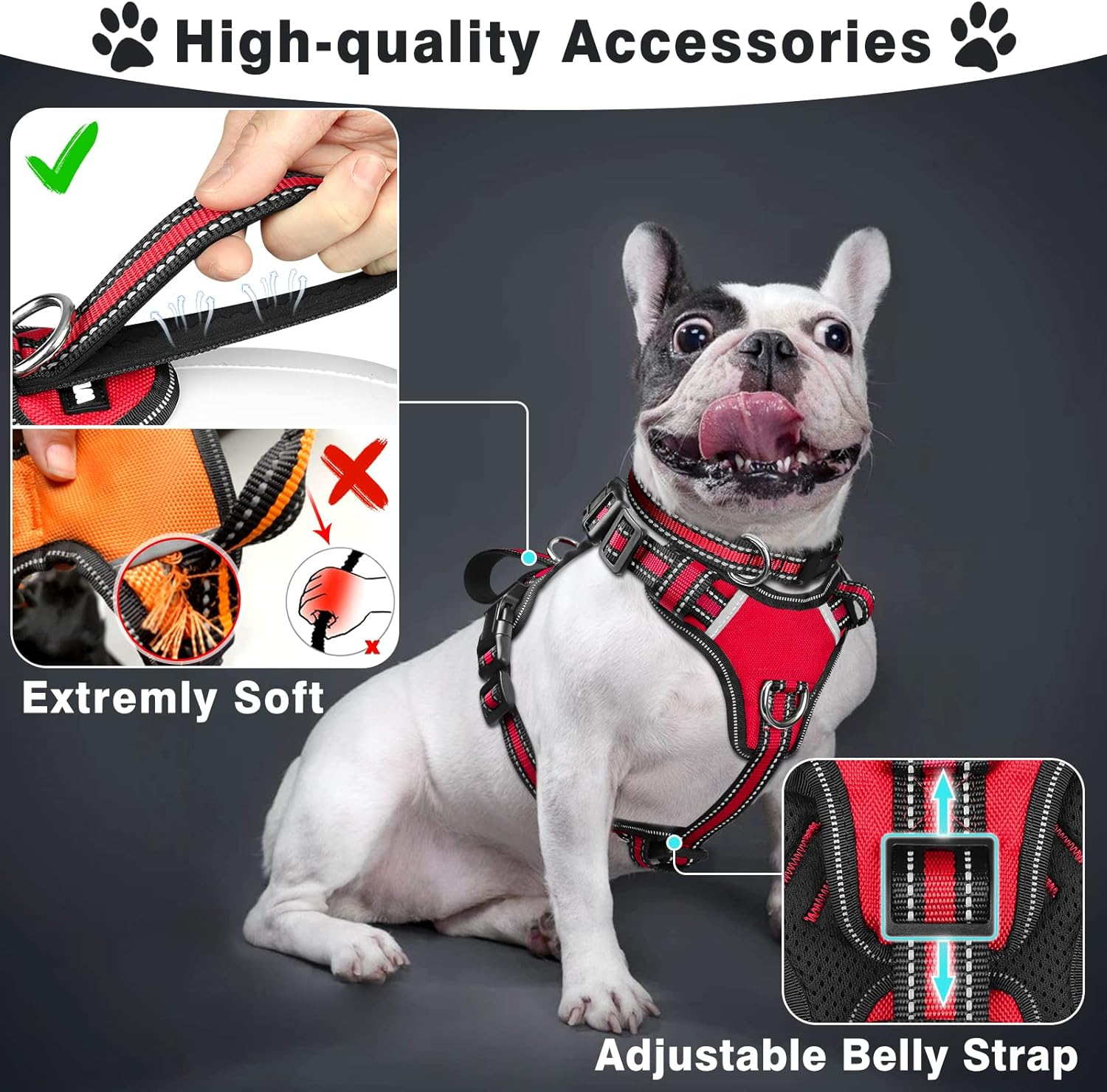 WINSEE Pet Harness, Collar, and Leash Set