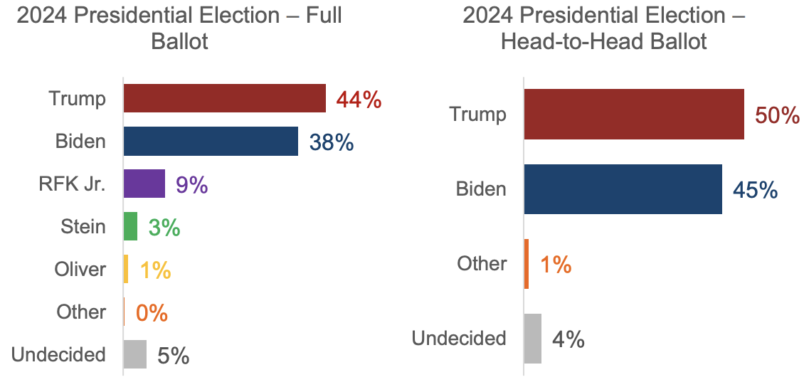 A graph of a political party

Description automatically generated with medium confidence