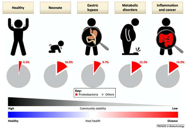 A diagram of a person's body

Description automatically generated