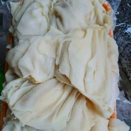 Lá Sách Trắng