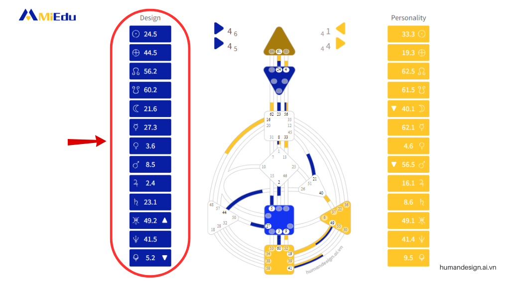 Cột vai trò trong biểu đồ Bodygraph