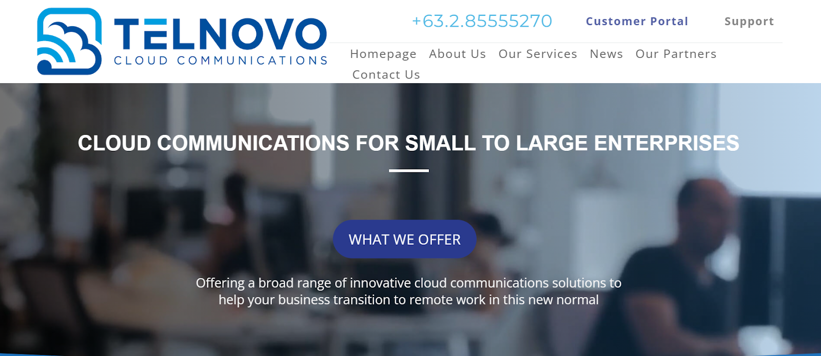 Telnovo website snapshot highlighting the services it offers.