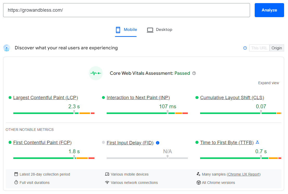 Page speed test