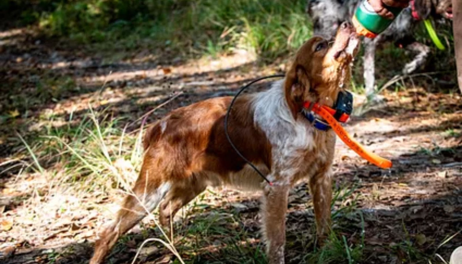 Pointer using the Garmin Pro 550