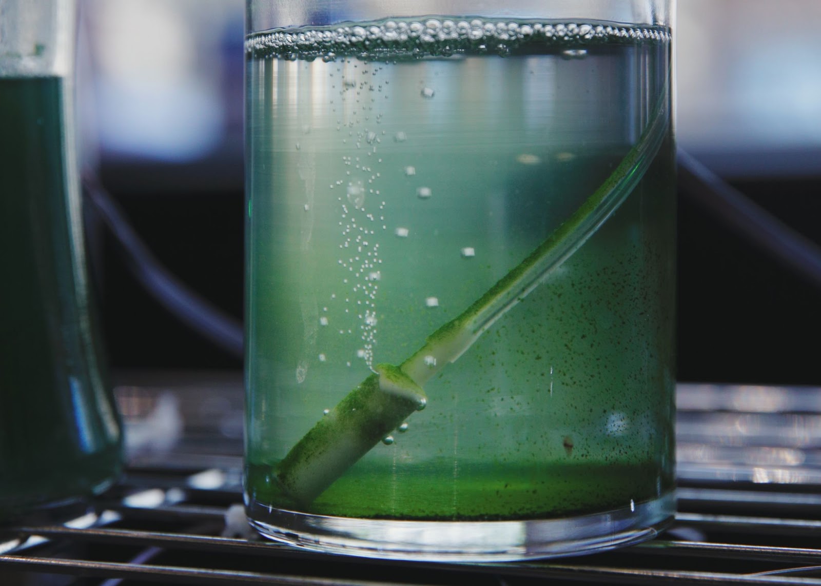 close image of a glass on a storage shelf. a liquid can be seen in the glass, with algae along the bottom and a device touching the bottom emitting bubbles