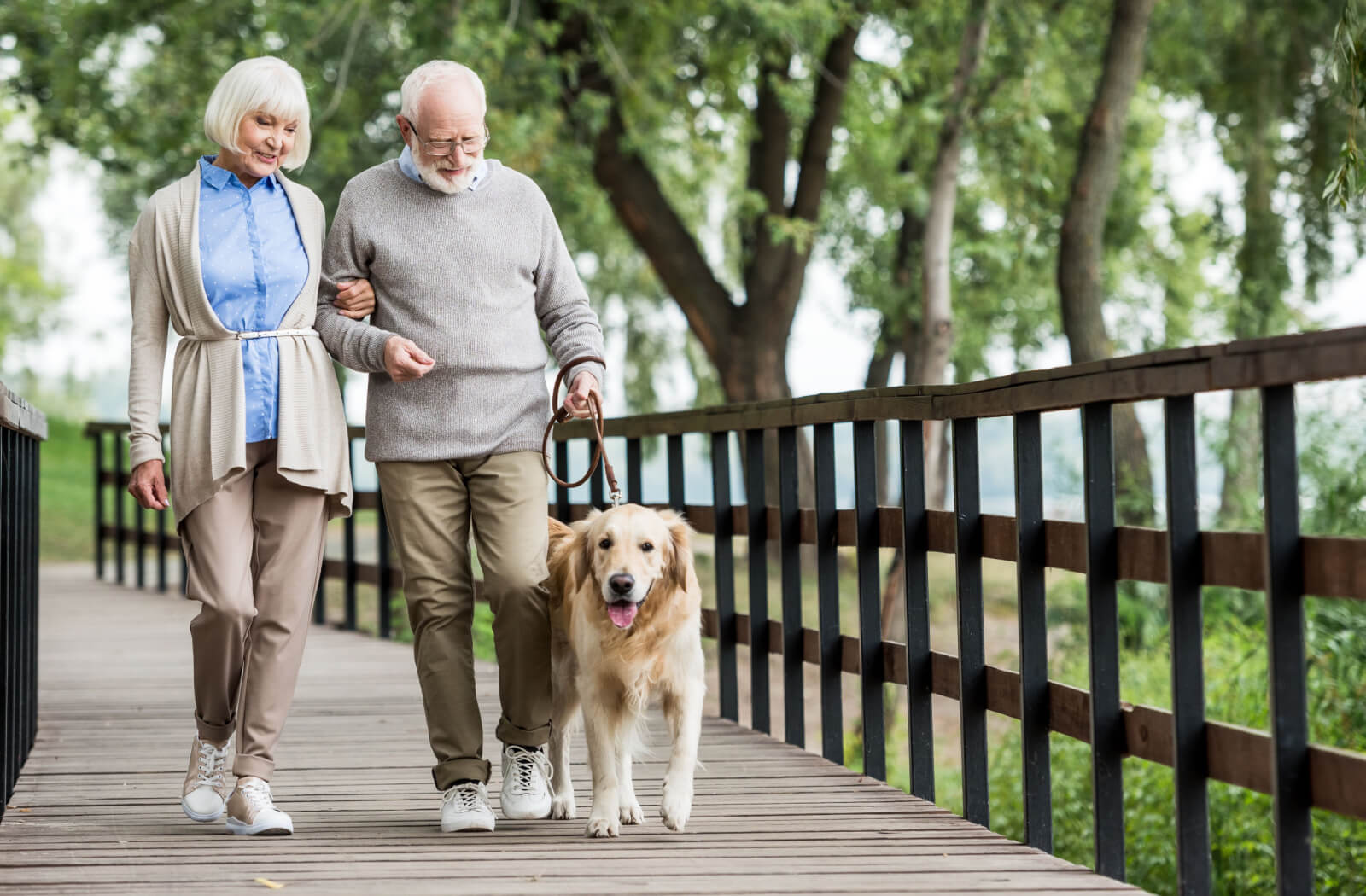 An older adult couple walk their dog across a bridge in a park.