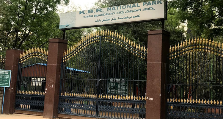 Kasu Brahmananda Reddy National Park